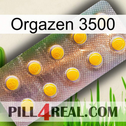 Orgazen 3500 new11